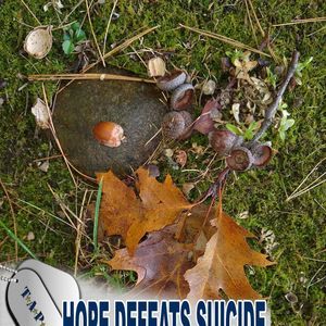 Meet your Posher, Lynette